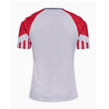 Maillot Danemark Extérieur 2023/2024